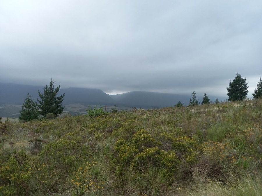  Bedroom Property for Sale in Riversdale Rural Western Cape